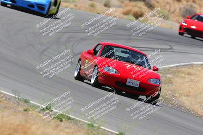 media/Jun-17-2023-Speed Ventures (Sat) [[a60324b5d0]]/5-Blue/turn 14/